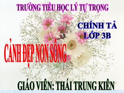 Bài giảng Chính tả Lớp 3 - Tuần 12: Nghe viết Cảnh đẹp non sông - Thái Trung Kiên