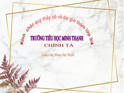 Bài giảng Chính tả Lớp 3 - Tuần 17: Nghe viết Vầng trăng quê em - Năm học 2020-2021 - Phạm Thị Tuyết