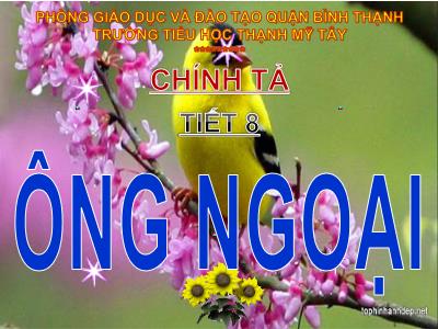 Bài giảng Chính tả Lớp 3 - Tuần 4: Nghe viết: Ông ngoại - Trường Tiểu học Thạnh Mỹ Tây