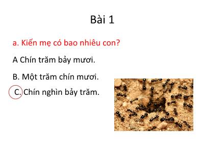 Bài giảng Tiếng việt lớp 3 - Tuần 3