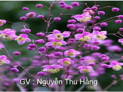 Bài giảng Toán 3 - Luyện tập (trang 89) - GV: Nguyễn Thu Hằng