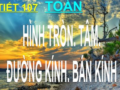 Bài giảng Toán 3 - Tiết 107: Hình tròn. Tâm. Đường kính. Bán kính