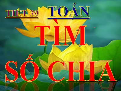 Bài giảng Toán 3 - Tiết 39: Tìm số chia