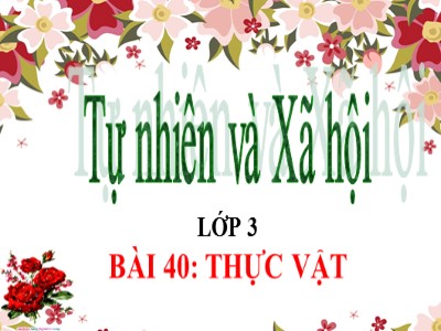 Bài giảng môn học Tự nhiên & xã hội 3 - Bài 40: Thực vật