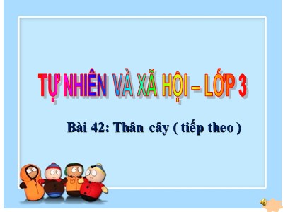 Bài giảng môn học Tự nhiên xã hội 3 - Bài 42: Thân cây (tiếp theo)