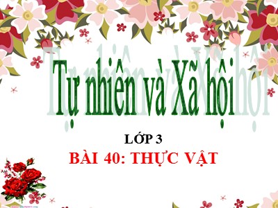 Bài giảng môn học Tự nhiên & xã hội lớp 3 - Bài 40: Thực vật