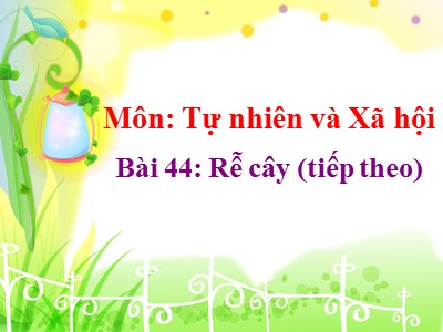 Bài giảng môn Tự nhiên và xã hội 3 - Bài 44: Rễ cây (tiếp theo)