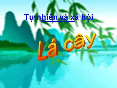 Bài giảng môn Tự nhiên và xã hội 3 - Lá cây