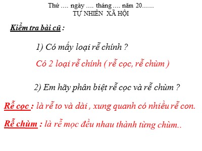 Bài giảng môn Tự nhiên và xã hội 3 - Rễ cây (tiếp theo)