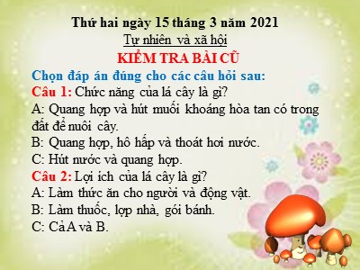 Bài giảng môn Tự nhiên và Xã hội khối 3 - Tiết 47: Hoa