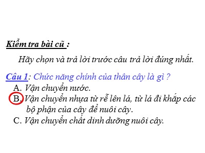 Bài giảng môn Tự nhiên và xã hội lớp 3 - Rễ cây