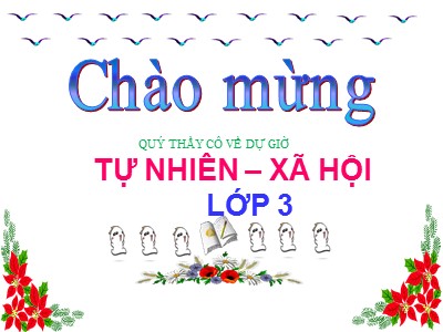 Bài giảng môn Tự nhiên và Xã hội lớp 3 - Tiết 47: Hoa