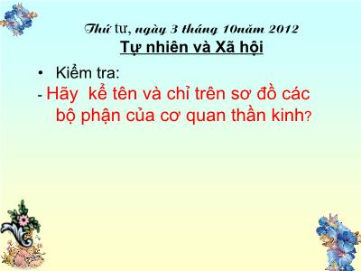 Bài giảng môn Tự nhiên & xã hội 3 - Hoạt động thần kinh