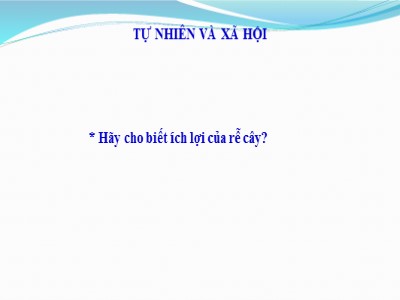 Bài giảng môn Tự nhiên & xã hội 3 - Lá cây