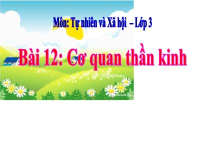 Bài giảng môn Tự nhiên & xã hội khối 3 - Bài 12: Cơ quan thần kinh