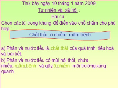 Bài giảng môn Tự nhiên & xã hội khối 3 - Bài 40: Thực vật