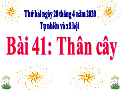 Bài giảng môn Tự nhiên & xã hội khối 3 - Bài 41: Thân cây