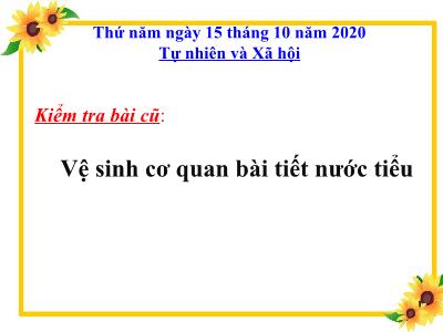 Bài giảng môn Tự nhiên & xã hội lớp 3 - Bài 12: Cơ quan thần kinh