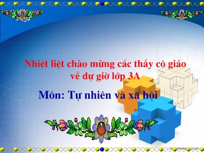 Bài giảng môn Tự nhiên & xã hội lớp 3 - Vệ sinh thần kinh