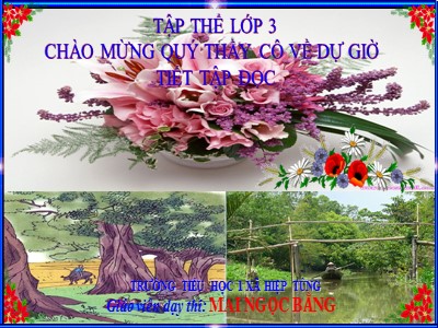 Bài giảng Tập đọc + kể chuyện 3 - Giọng quê hương - GV: Mai Ngọc Bằng