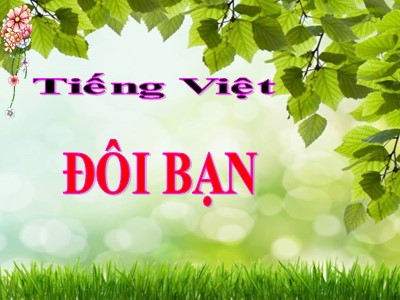 Bài giảng Tiếng Việt 3 - Đôi bạn