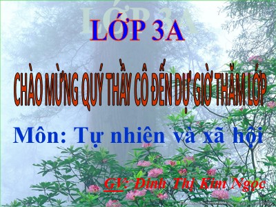 Bài giảng Tự nhiên và xã hội 3 - An toàn khi đi xe đạp - GV: Đinh Thị Kim Ngọc