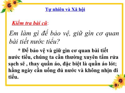 Bài giảng Tự nhiên và xã hội 3 - Bài 12: Cơ quan thần kinh - Giáo viên: Phạm Thị Hồng Vân