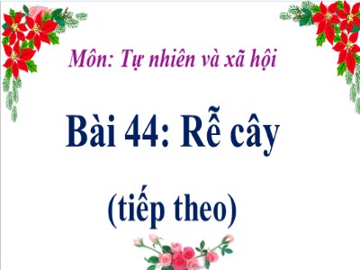 Bài giảng Tự nhiên và xã hội 3 - Bài 44: Rễ cây (tiếp theo)