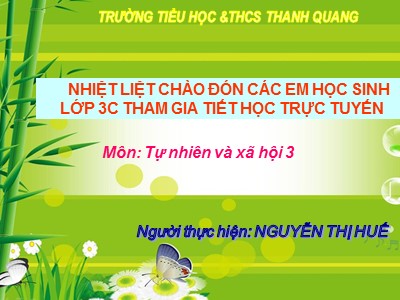 Bài giảng Tự nhiên và xã hội 3 - Bài 46: Chức năng của lá cây 0 GV: Nguyễn Thị Huế