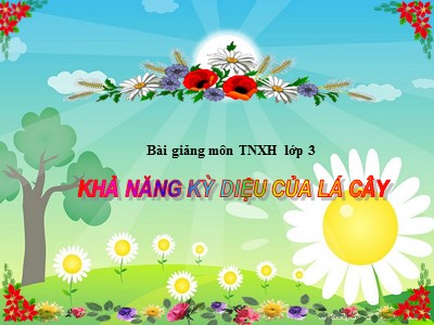 Bài giảng Tự nhiên và xã hội 3 - Bài 46: Khả năng kỳ diệu của lá cây