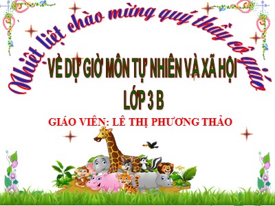 Bài giảng Tự nhiên và xã hội 3 - Bài 49: Động vật - Giáo viên: Lê Thị Phương Thảo