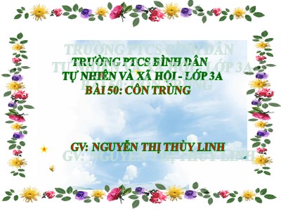 Bài giảng Tự nhiên và xã hội 3 - Bài 50: Côn trùng - GV: Nguyễn Thị Thùy Linh