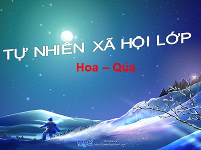 Bài giảng Tự nhiên và xã hội 3 - Hoa, Quả