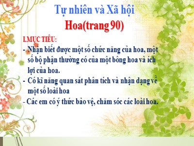 Bài giảng Tự nhiên và Xã hội 3 - Hoa (trang 90)