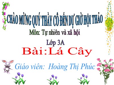 Bài giảng Tự nhiên và xã hội 3 - Lá Cây - Giáo viên: Hoàng Thị Phúc