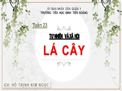 Bài giảng Tự nhiên và xã hội 3 - Lá cây - GV: Hồ Trịnh Kim Ngọc