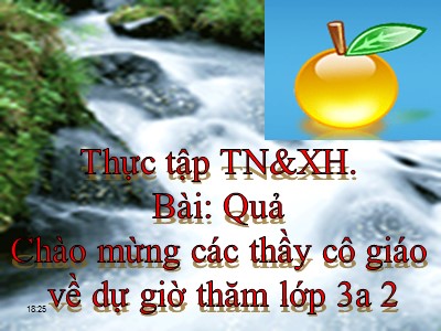 Bài giảng Tự nhiên và xã hội 3 - Quả