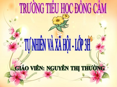 Bài giảng Tự nhiên và xã hội 3 - Tiết 43: Rễ cây - Giáo viên: Nguyễn Thị Thường