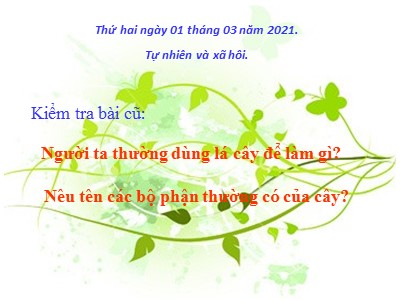 Bài giảng Tự nhiên và xã hội 3 - Tiết 47: Hoa