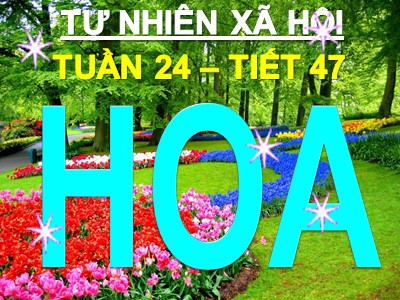 Bài giảng Tự nhiên và xã hội 3 - Tuần 24, Tiết 47: Hoa