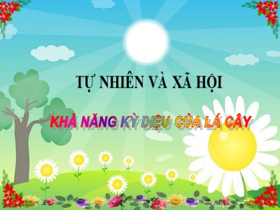 Bài giảng Tự nhiên và xã hội khối 3 - Bài 46: Khả năng kỳ diệu của lá cây