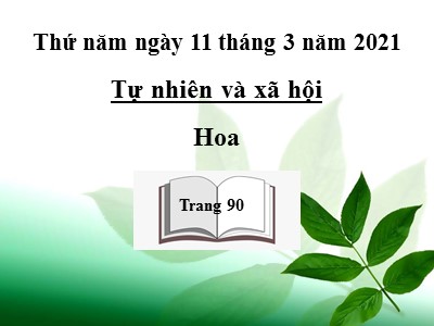 Bài giảng Tự nhiên và Xã hội khối 3 - Hoa (trang 90)