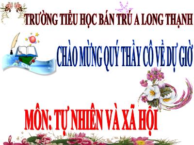 Bài giảng Tự nhiên và xã hội lớp 3 - Vệ sinh thần kinh (tiếp theo)