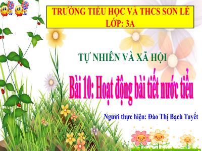 Bài giảng Tự nhiên & xã hội 3 - Bài 10: Hoạt động bài tiết nước tiểu - GV: Đào Thị Bạch Tuyết