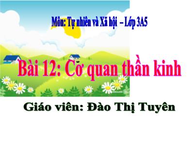 Bài giảng Tự nhiên & xã hội 3 - Bài 12: Cơ quan thần kinh - Giáo viên: Đào Thị Tuyên