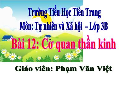 Bài giảng Tự nhiên & xã hội 3 - Bài 12: Cơ quan thần kinh - Giáo viên: Phạm Văn Việt
