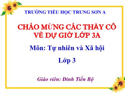 Bài giảng Tự nhiên & xã hội 3 - Bài 12: Cơ quan thần kinh - Giáo viên: Đinh Tiến Bộ