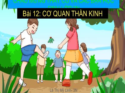 Bài giảng Tự nhiên & xã hội 3 - Bài 12: Cơ quan thần kinh - GV: Lê Thị Mỹ Linh