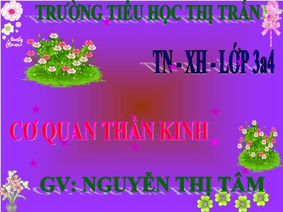 Bài giảng Tự nhiên & xã hội 3 - Bài 12: Cơ quan thần kinh - GV: Nguyễn Thị Tâm