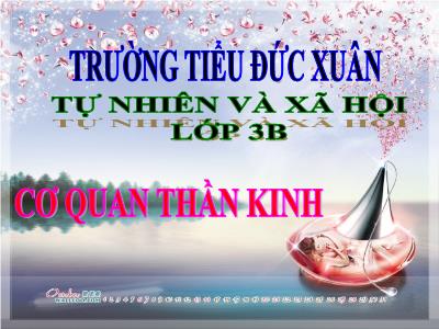 Bài giảng Tự nhiên & xã hội 3 - Bài 12: Cơ quan thần kinh - Trường tiểu học Đức Xuân